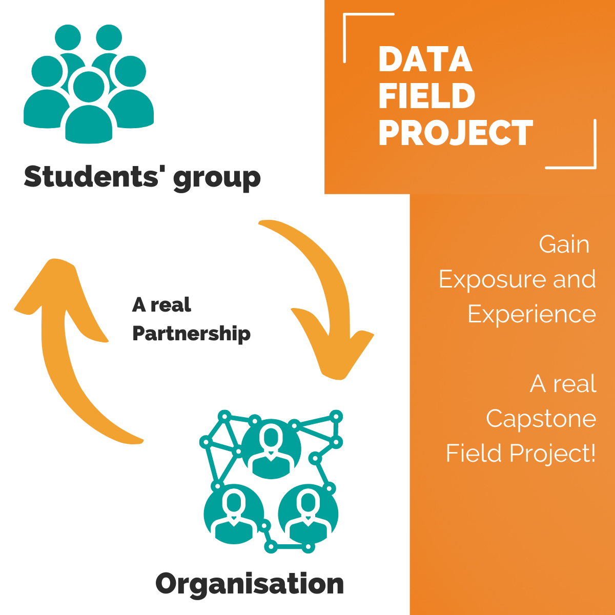 data-field-project